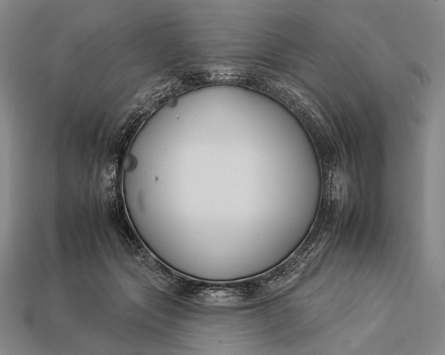 X0000112930557200909071035