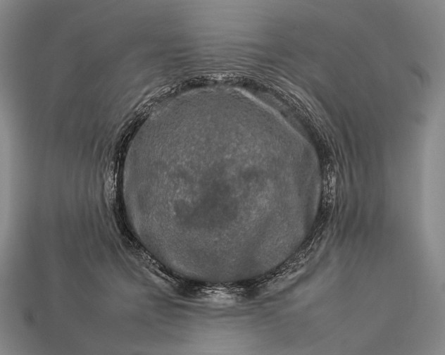 X0000112930558200909071036