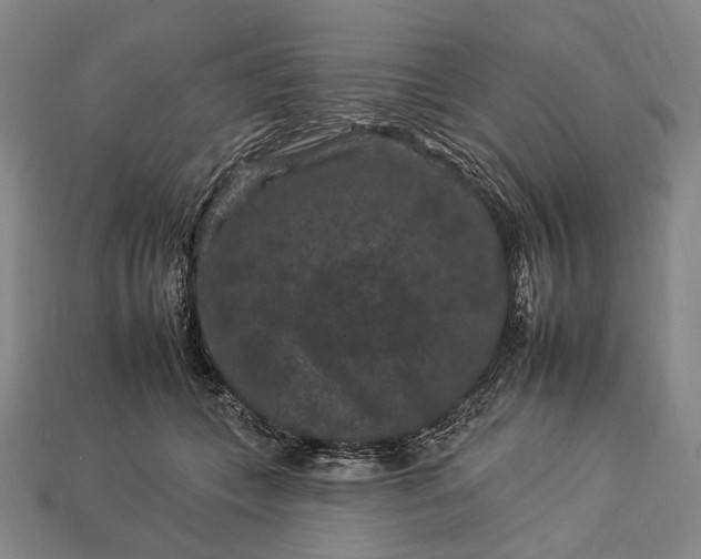 X0000112930559200909071036