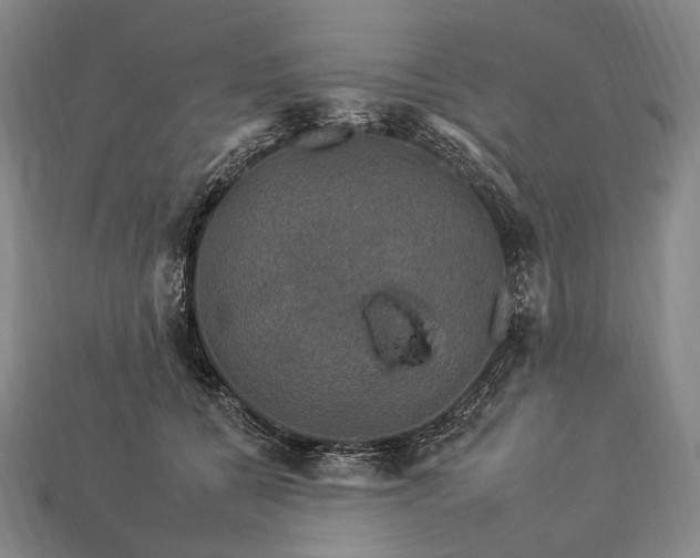 X0000112930560200909071036