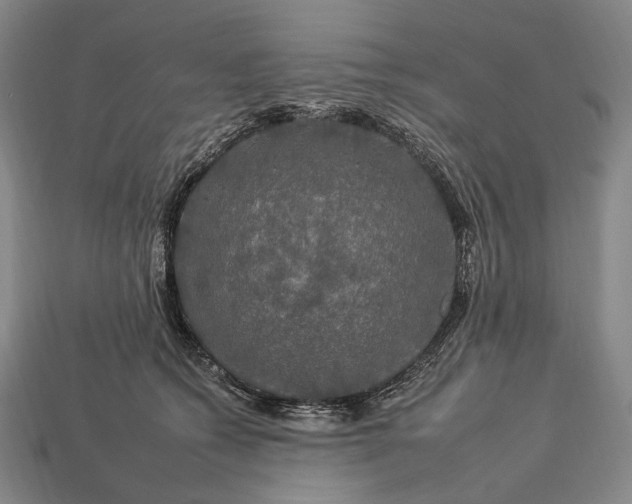 X0000112930562200909071036