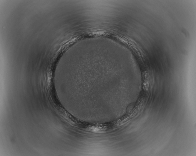 X0000112930563200909071036