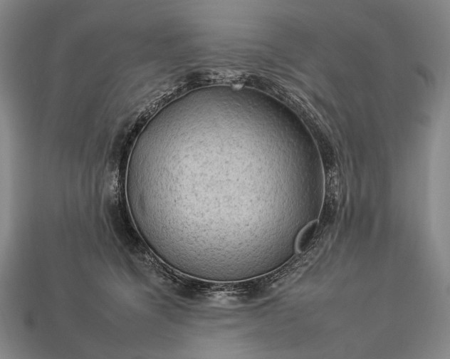 X0000112930564200909071036