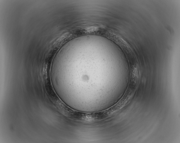 X0000112930565200909071036