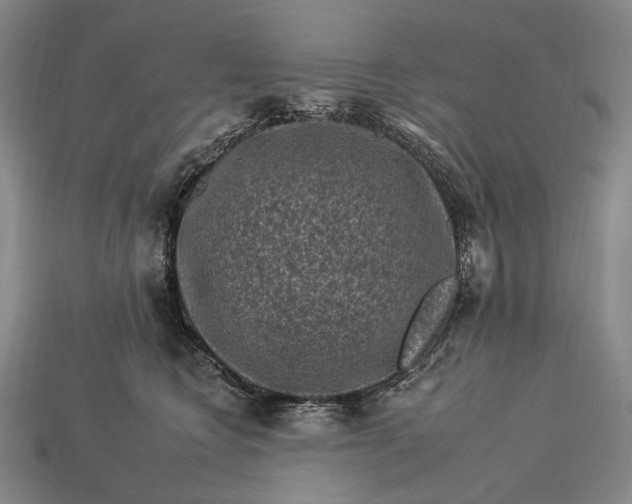 X0000112930566200909071036