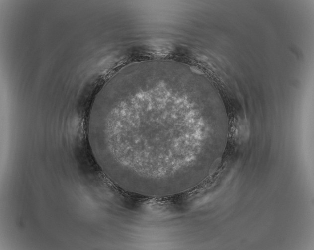 X0000112930568200909071036