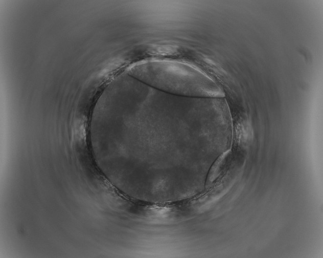 X0000112930570200909071036