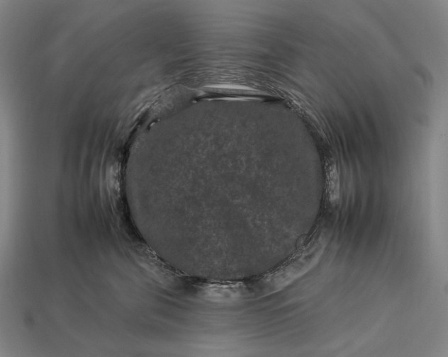 X0000112930571200909071036