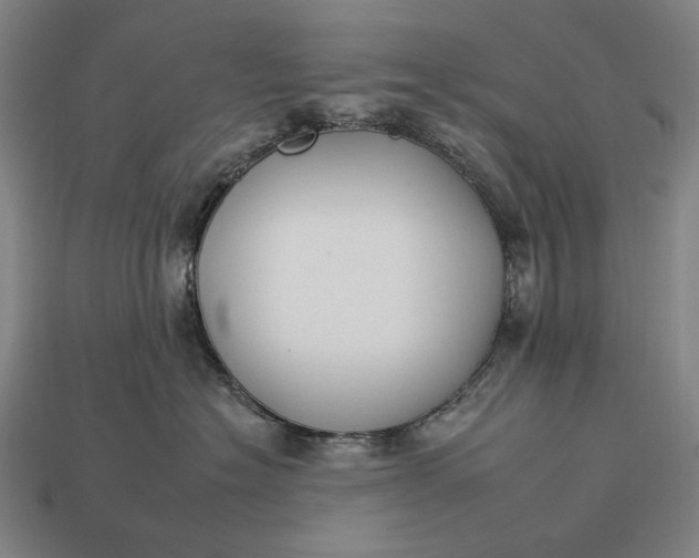 X0000112930574200909071036