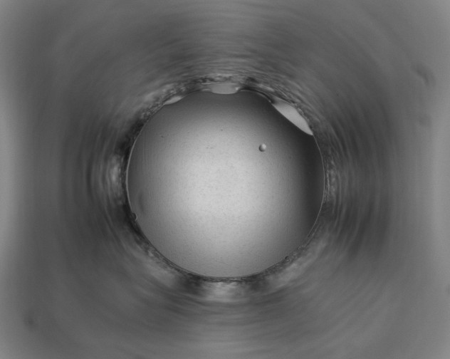 X0000112930575200909071036