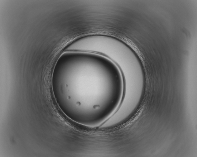 X0000112930577200909071035