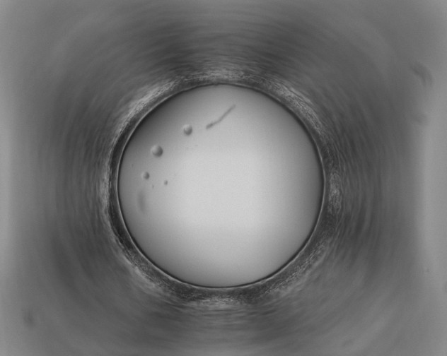 X0000112930578200909071035