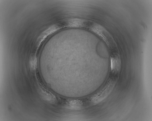 X0000112930579200909071035