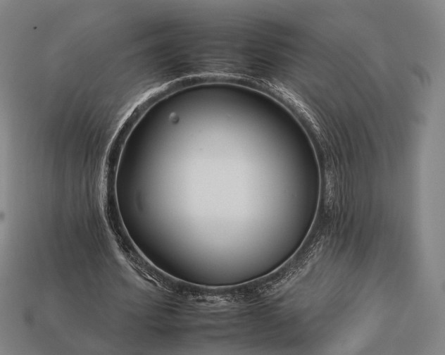 X0000112930580200909071035