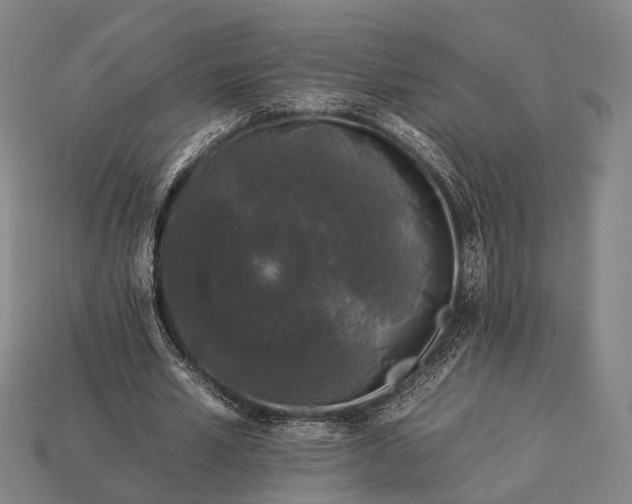 X0000112930581200909071035