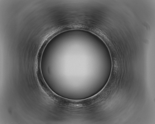 X0000112930582200909071035