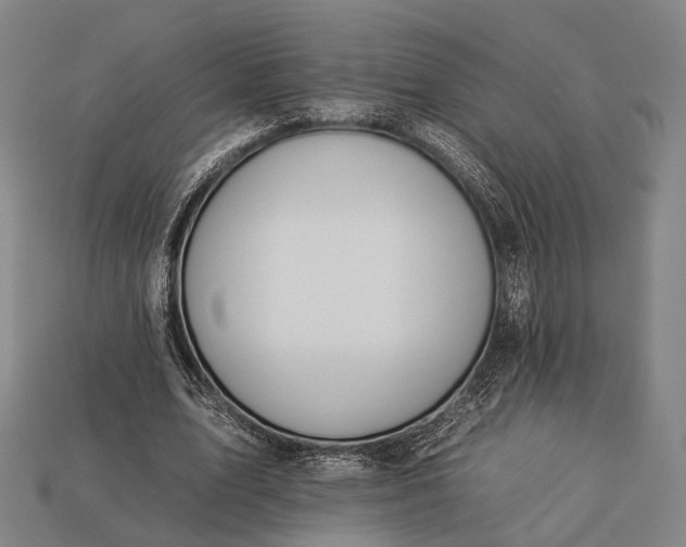 X0000112930583200909071035