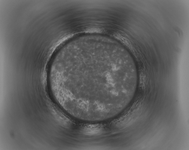 X0000112930584200909071035