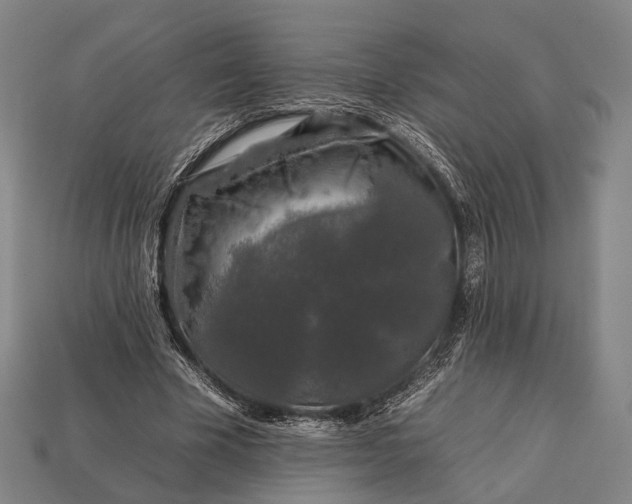 X0000112930585200909071035