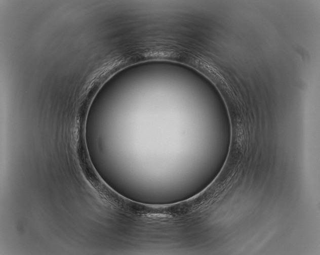 X0000112930586200909071035