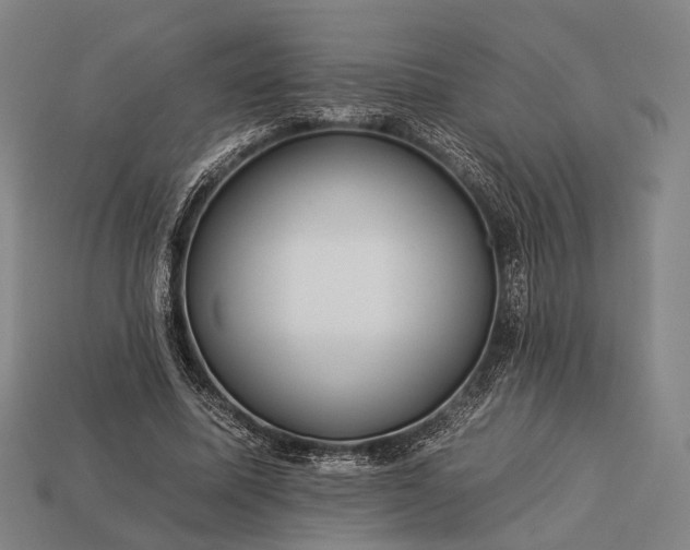 X0000112930587200909071035