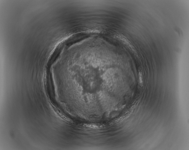 X0000112930588200909071035