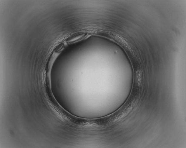 X0000112930589200909071035