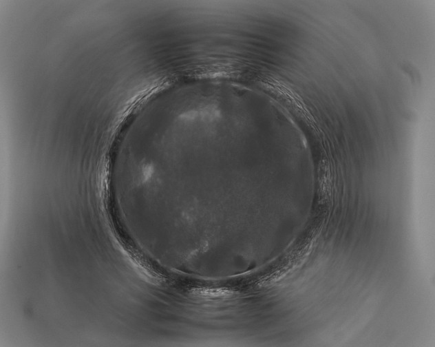 X0000112930590200909071035