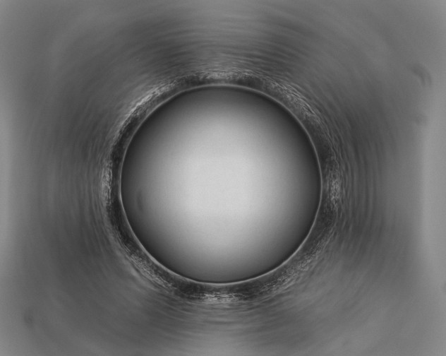 X0000112930591200909071035