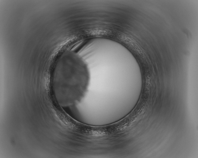 X0000112930592200909071035