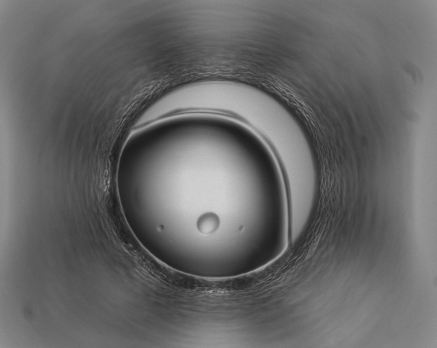 X0000112930593200909071035