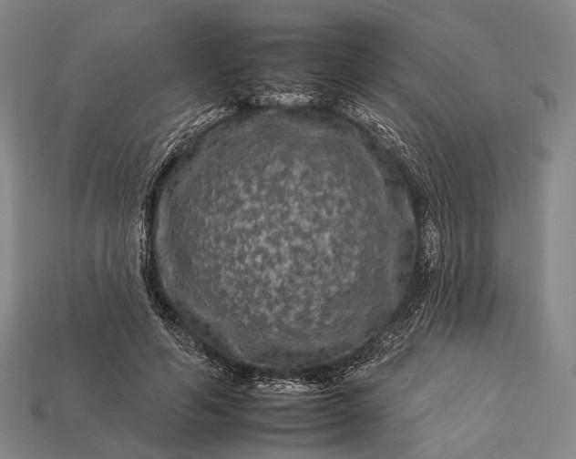 X0000112930594200909071035