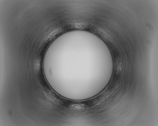 X0000112930595200909071035