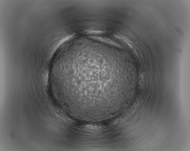 X0000112930596200909071035