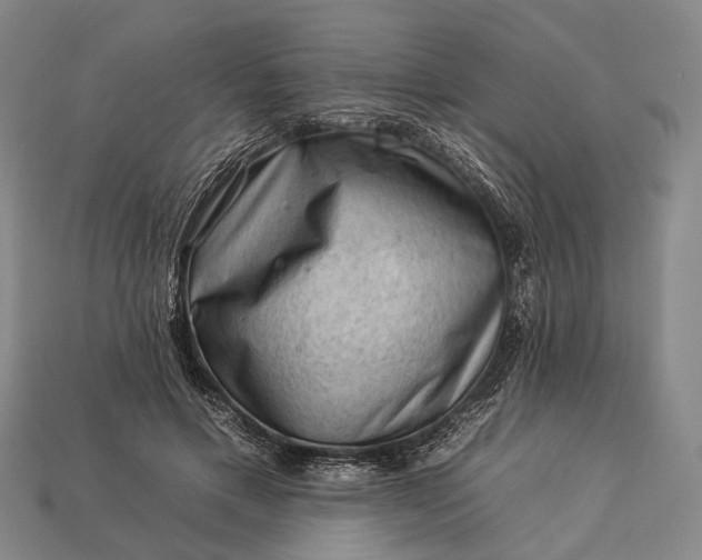 X0000112930597200909071035