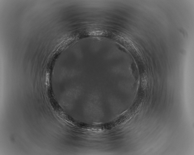 X0000112930598200909071035