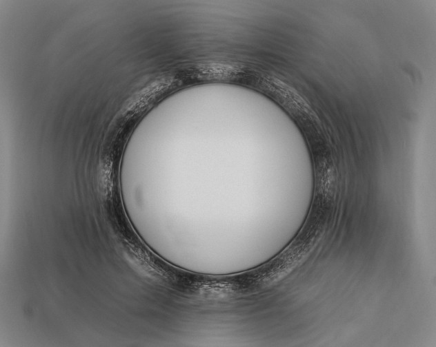 X0000112930599200909071035