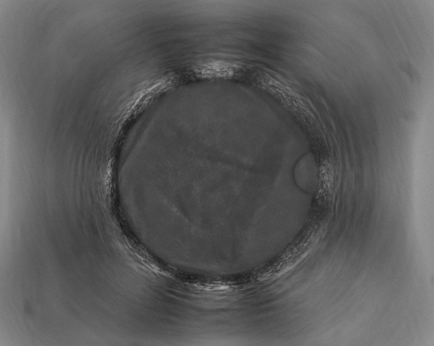 X0000112930600200909071035