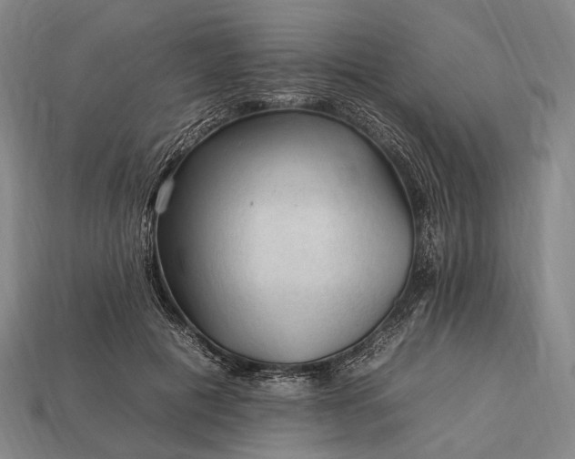 X0000112930601200909071035