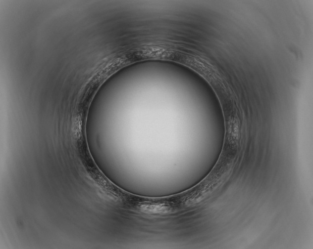 X0000112930602200909071035