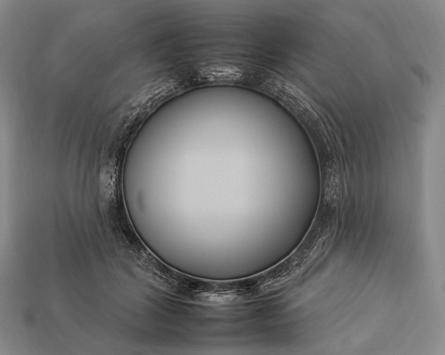 X0000112930604200909071035