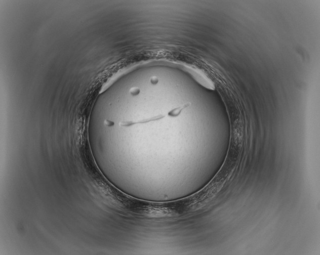 X0000112930605200909071035