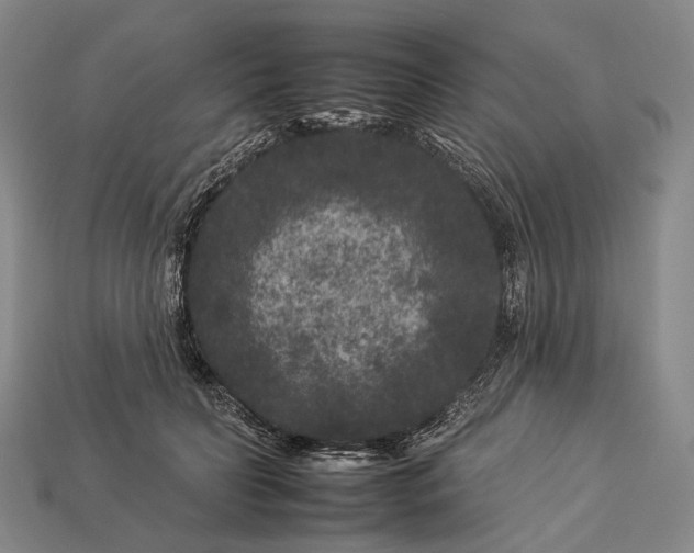 X0000112930606200909071035