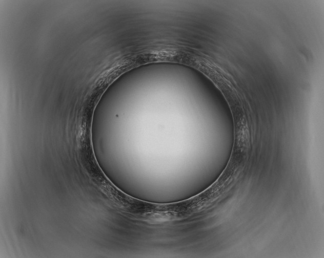 X0000112930608200909071035