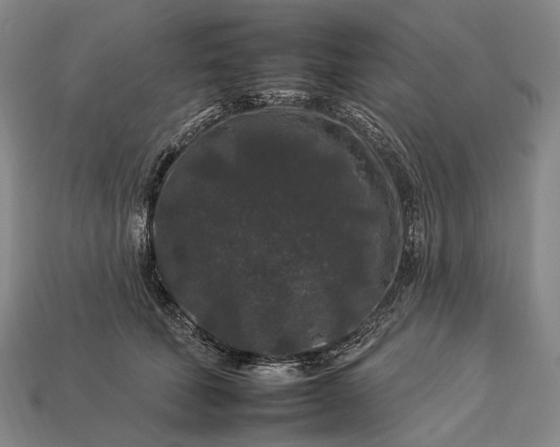 X0000112930610200909071035