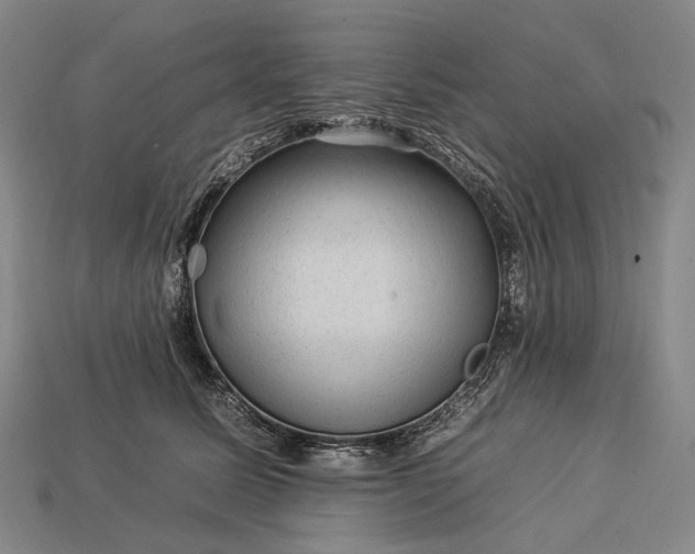 X0000112930611200909071035