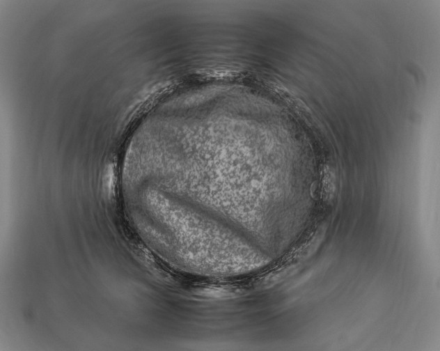 X0000112930612200909071035