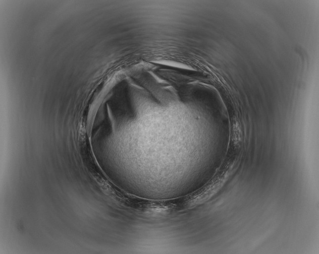 X0000112930613200909071035