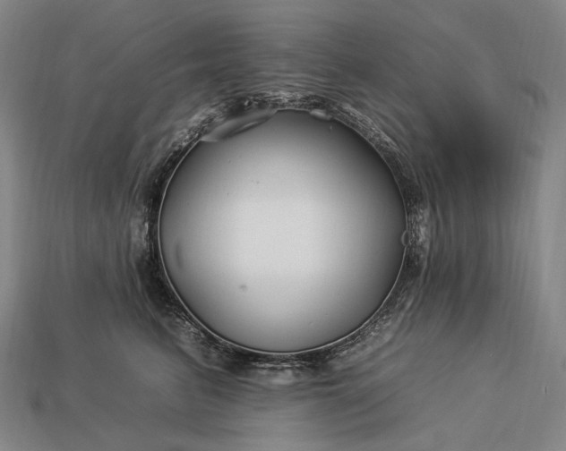 X0000112930615200909071035