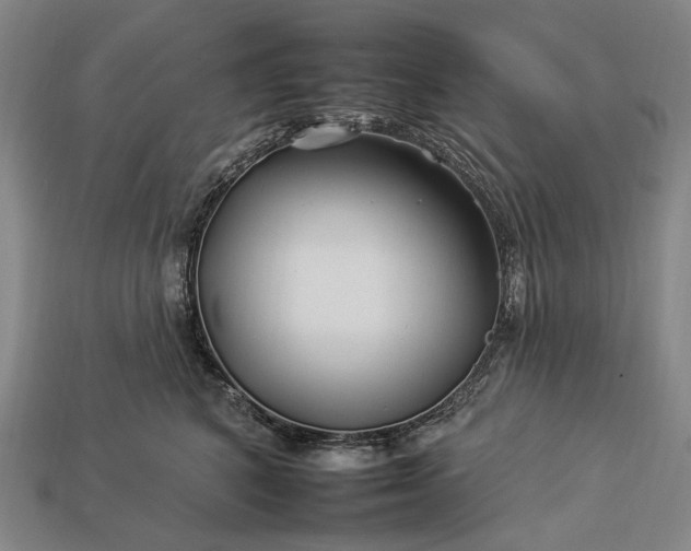 X0000112930616200909071035